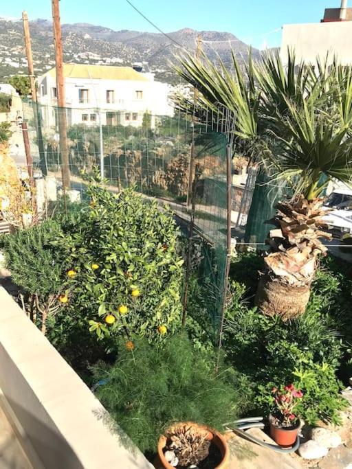 Cretan Home From Home Агиос-Николаос Экстерьер фото